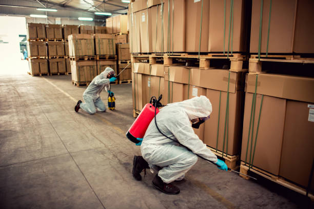 Best Pest Inspection Near Me  in Nicholson, GA