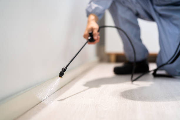 Professional Pest Control in Nicholson, GA
