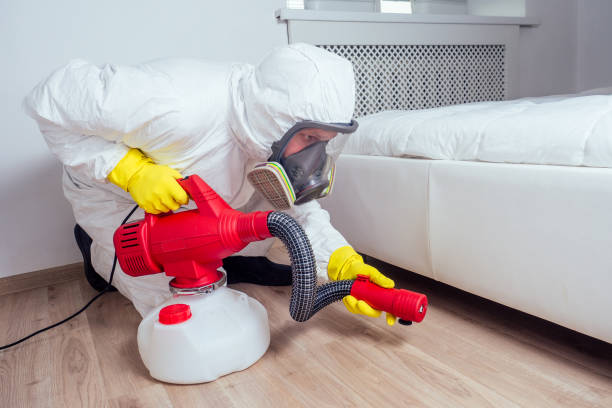 Best Cockroach Control Services  in Nicholson, GA