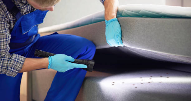 Best Best Pest Control Companies  in Nicholson, GA