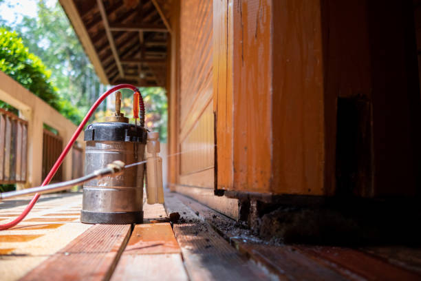 Best Affordable Pest Control Services  in Nicholson, GA