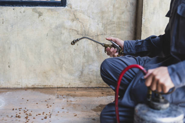 Best Ant Control Services  in Nicholson, GA