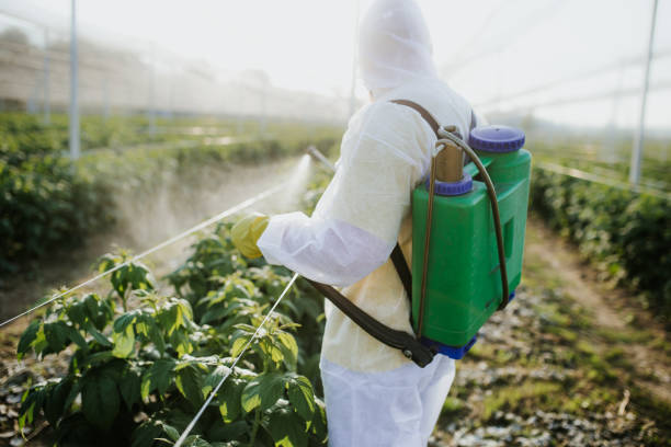Best Commercial Pest Control Services  in Nicholson, GA